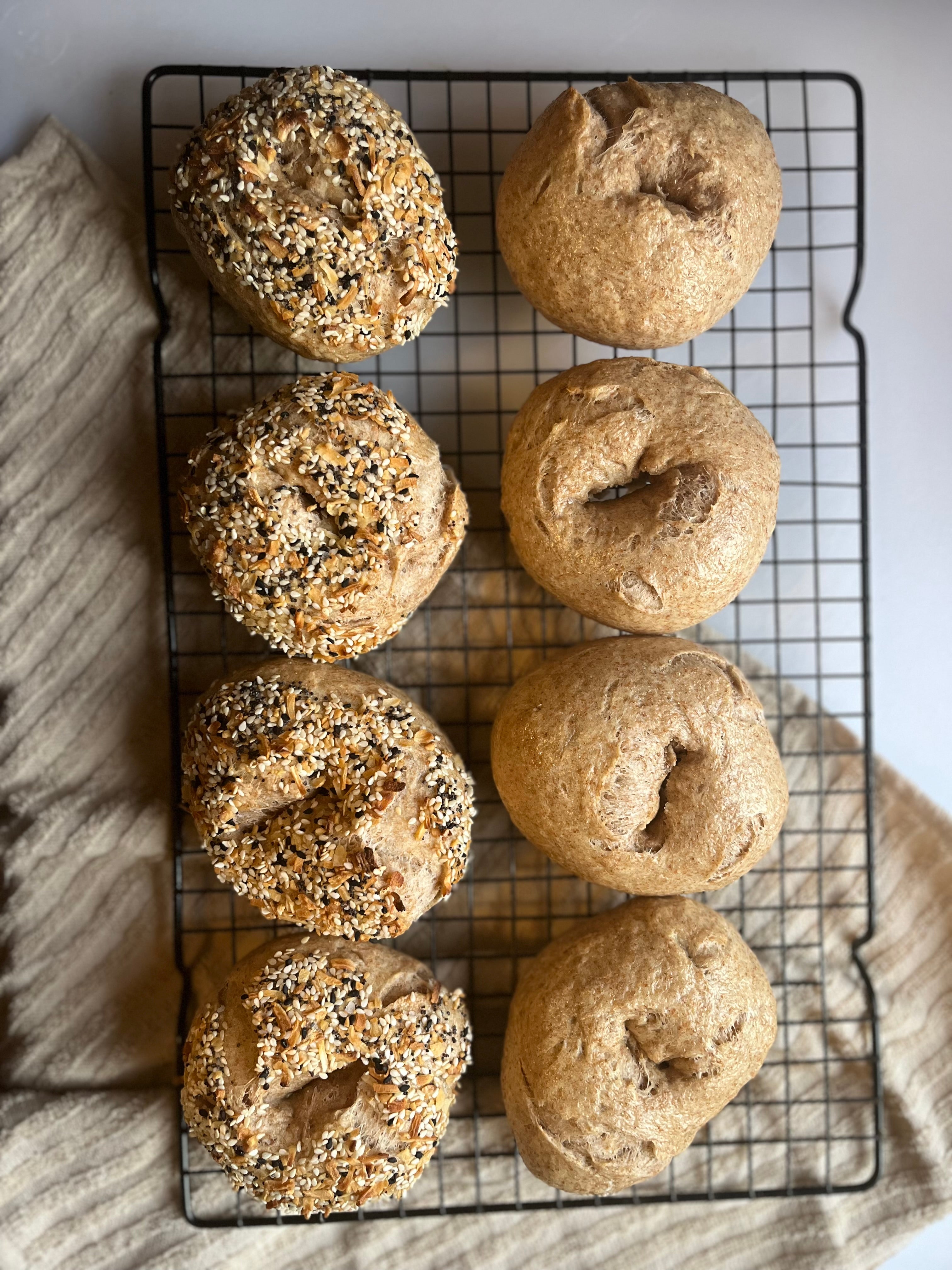 Everything Bagel Bagels