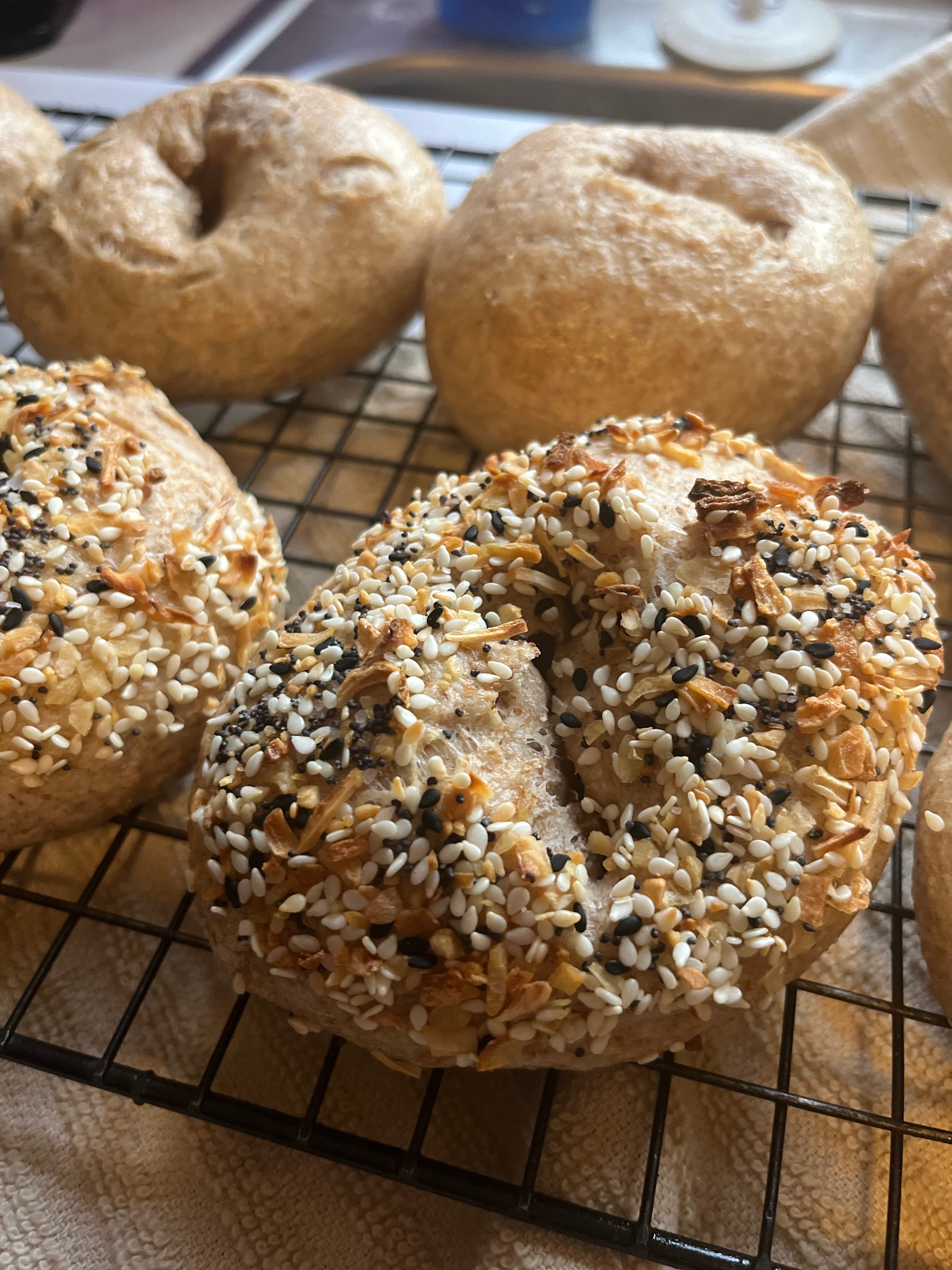 Everything Bagel Bagels