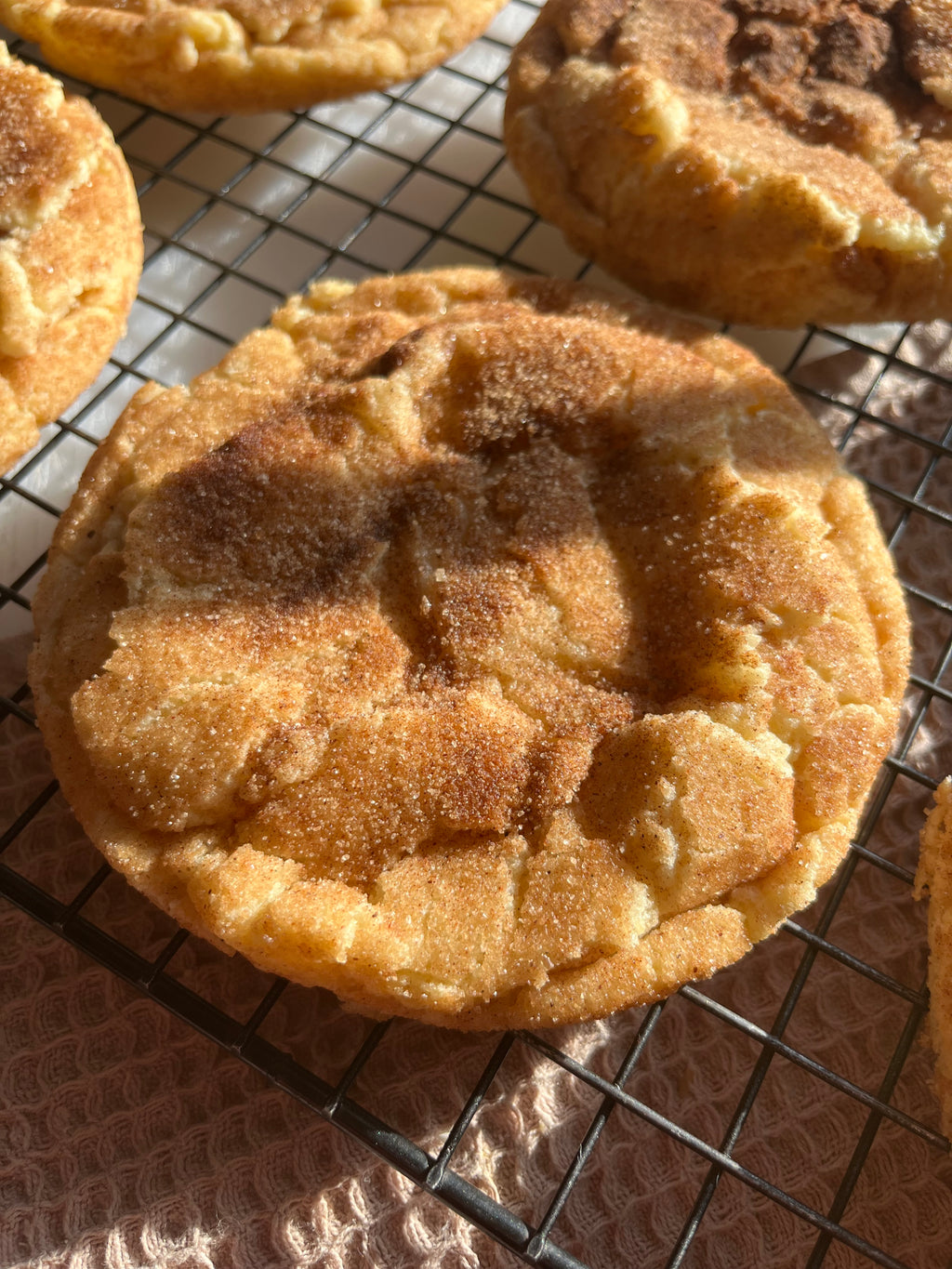 Snickerdoodles